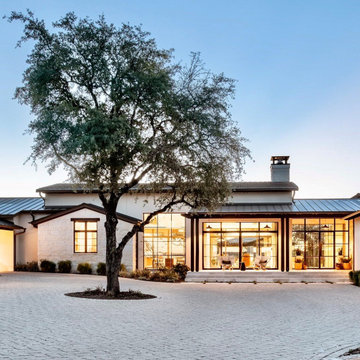 Yaupon Holly Contemporary