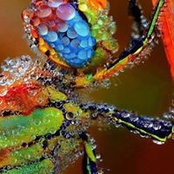 Christina Wise's photo