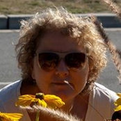 JoAnne Coppolo's photo