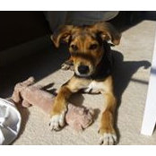 Kevin Dudek's photo