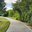 Trenton Tree Services
