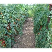 Gerry Bihl's photo