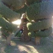 Esther Caumel Ruiz's photo
