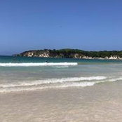 Sandy Mehner's photo