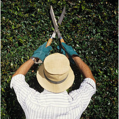Troyer Tree Clearing LLC