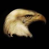 David Mathiss foto