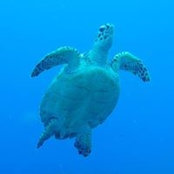 Jerold Von Hemel's photo