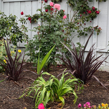 Artist's Garden