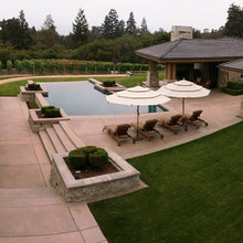 Pool backyard