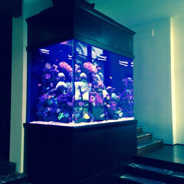 Pagoda-inspired Floor to Ceiling Aquarium