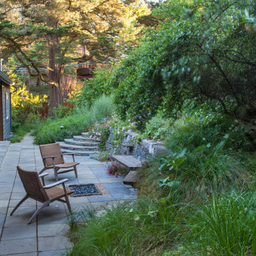 Grassy Meadow Oasis - Reduces Waste While Increasing Habitat