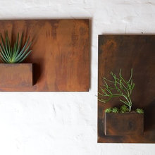 PLANTERS