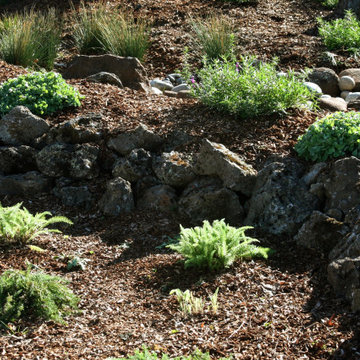At Home in a Natural California Garden