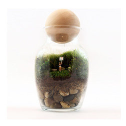 I Love You Terrarium - Terrariums