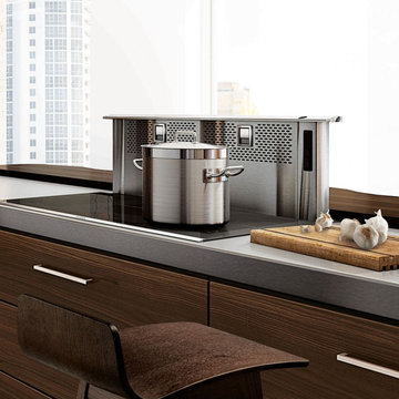 Bosch Downdraft Ventilation