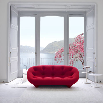 Ligne Roset FL
