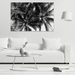 Summer Fronds - Products