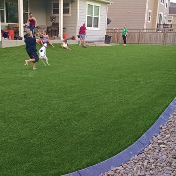 Artificial Grass Lawn Near the Foothills