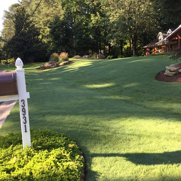 Landscape Design & Installation