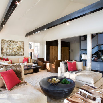 Contemporary Full Home Design in Raspberry Patch, CO