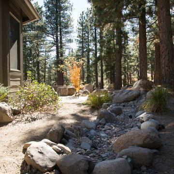 Forest home backyard renovation