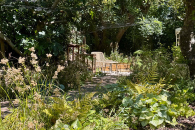 This is an example of a medium sized contemporary back fully shaded garden for summer in London.