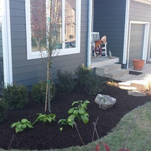 Front landscaping