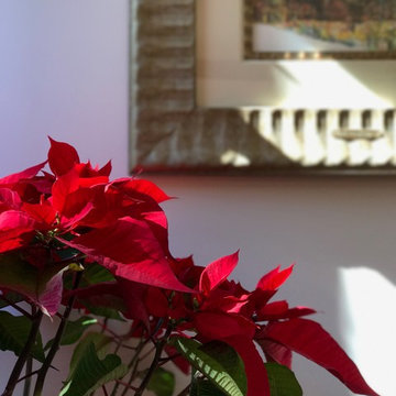 Interior Plantscapes & Design
