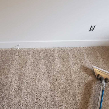 Pet Urine Removal From Carpet in a House Located in Maple Ridge BC Canada