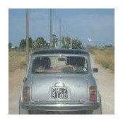 Foto de Danielle Driver