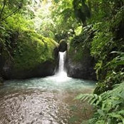 Arthur Lopez's photo