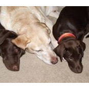 Stan Allen's photo
