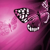 Sandra Fruth's photo
