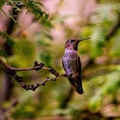 Jenny Dolak's photo