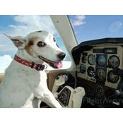 Rick Obrien's photo