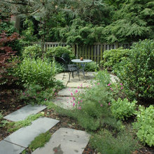 Landscape Ideas