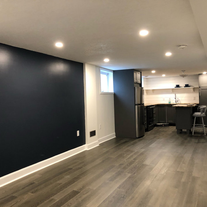 75 Shiplap Wall Basement - May, 2025