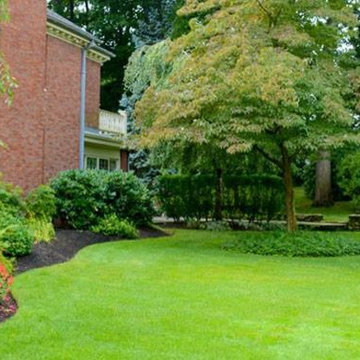 Manicured Lawns