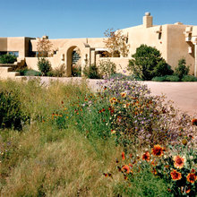 Greek Houses