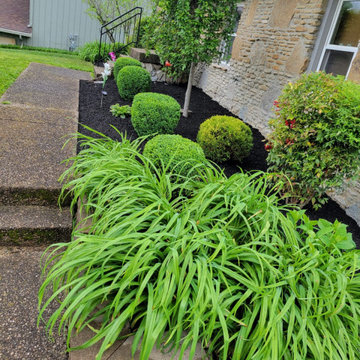 Alberto Alavez Professional Lawn Services LLC 17