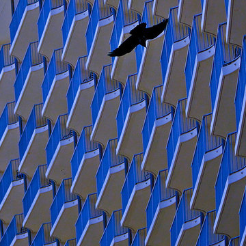 Architecture
