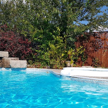Outdoor Privacy Screen