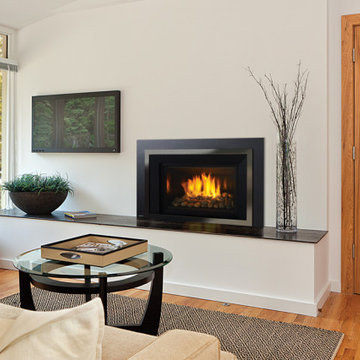 Gas Fireplace Inserts