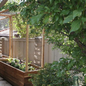 Kid Friendly Garden