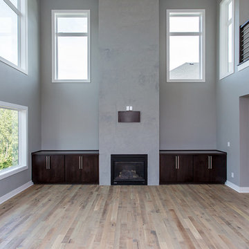 Great Room | Organic Solid, Noni, Urbandale, IA