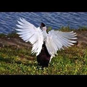 Elva Hernandez's photo