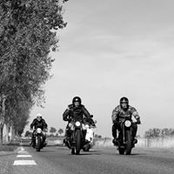 Jan de Saeger's photo