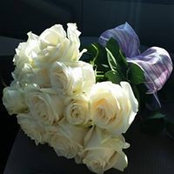 PJ Rillera's photo