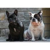 Dave Berrey's photo