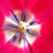 Christina Conaty Embriano's photo
